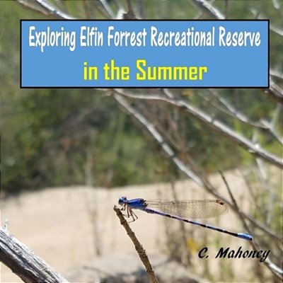 Exploring Elfin Forrest Recreational Reserve In The Summer-..