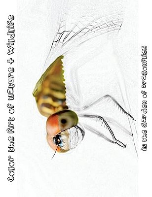 In The Garden Of Dragonflies [Line Drawings]: Color The Art Of Nature + Wildlife-..