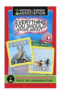 Everything You Should Know About: Pelicans And Ducks-..