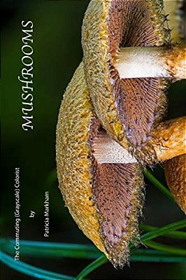 Mushrooms: The Commuting (Grayscale) Colorist-..