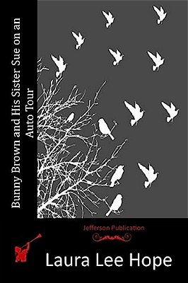 Bunny Brown And His Sister Sue On An Auto Tour-..