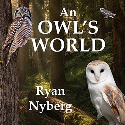 An Owl's World-..