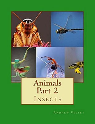 Animals Part 2: Insects-..