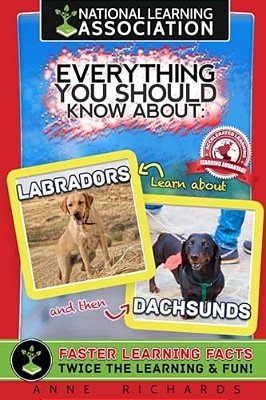 Everything You Should Know About: Labradors And Dachshunds-..