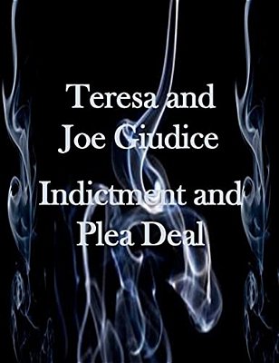 Teresa And Joe Guidice Indictment And Plea Deal-..