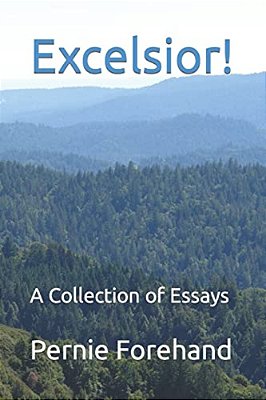 Excelsior!: A Collection Of Essays-..