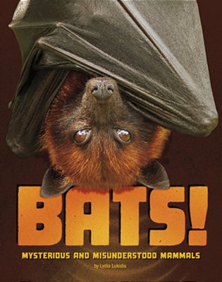 Bats!: Mysterious And Misunderstood Mammals-..