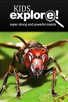 Super Strong And Powerful Insects - Kids Explore: Animal Books Nonfiction - Books Ages 5-6-..