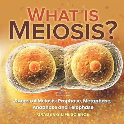 What Is Meiosis? Stages Of Meiosis, Prophase, Metaphase, Anaphase And Telophase Grade 6-8 Life Science-..