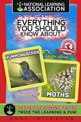 Everything You Should Know About Hummingbirds And Moths-..