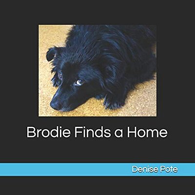 Brodie Finds A Home: Book 1-..