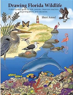 Drawing Florida Wildlife-..
