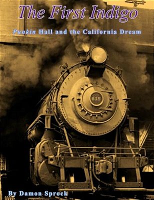The First Indigo: Punkin Hall And The California Dream-..