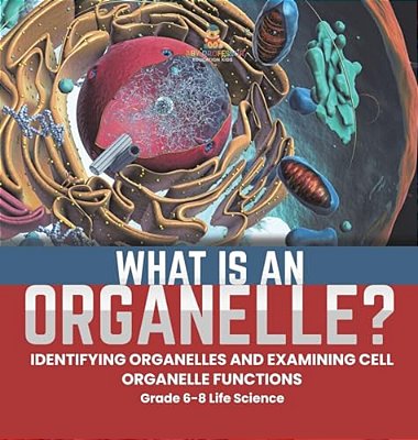 What Is An Organelle? Identifying Organelles And Examining Cell Organelle Functions Grade 6-8 Life Science-..