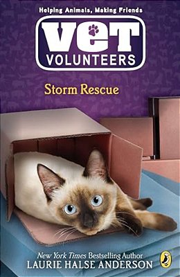 Storm Rescue-..