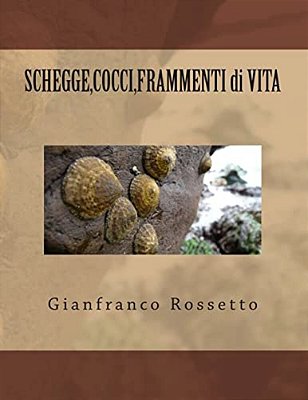 Shegge, Cocci, Frammenti Di Vita-..