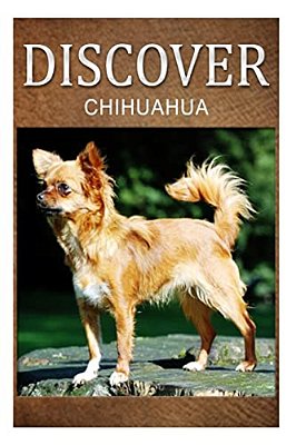 Chihuahua - Discover: Early Reader's Wildlife Photography Book-..