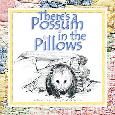 There's A Possum In The Pillows-..