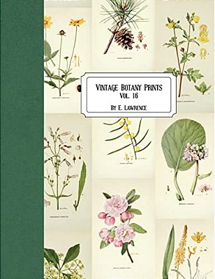 Vintage Botany Prints: Vol. 16-..