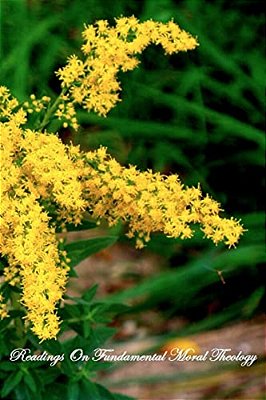 Readings On Fundamental Moral Theology-..