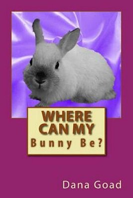 Where Can My Bunny Be?-..