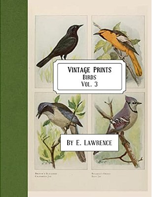 Vintage Prints: Birds: Vol. 3-..