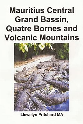 Mauritius Central Grand Bassin, Quatre Bornes And Volcanic Mountains-..