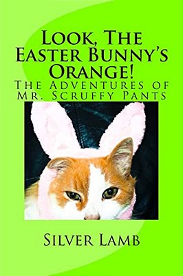Look, The Easter Bunny's Orange: The Adventures Of Mr. Scruffy Pants-..