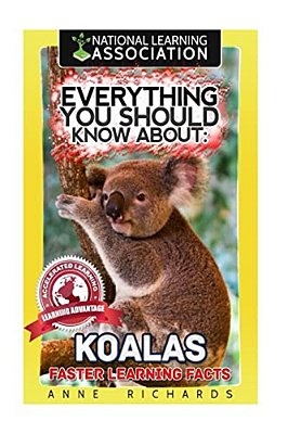 Everything You Should Know About: Koalas-..