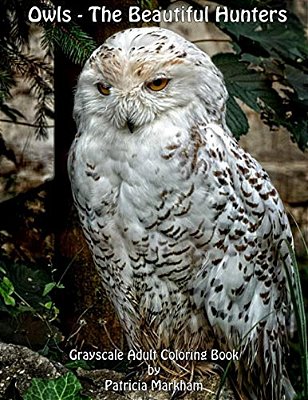 Owls - The Beautiful Hunters: Grayscale Adult Coloring Book-..