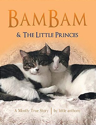 Bambam & The Little Princes: A Mostly True Story-..