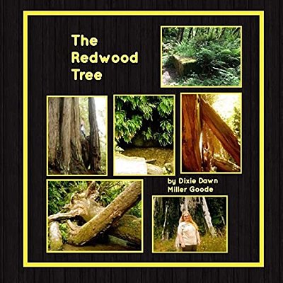 The Redwood Tree-..