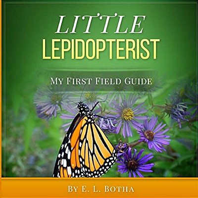 Little Lepidopterist-..
