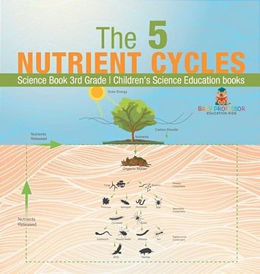 The 5 Nutrient Cycles - Science Book 3RD Grade Children's Science Education Books-..