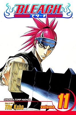 Bleach, Vol. 11: A Star And A Stray Dog-..