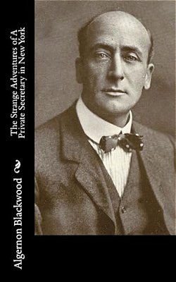 The Strange Adventures Of A Private Secretary In New York-..