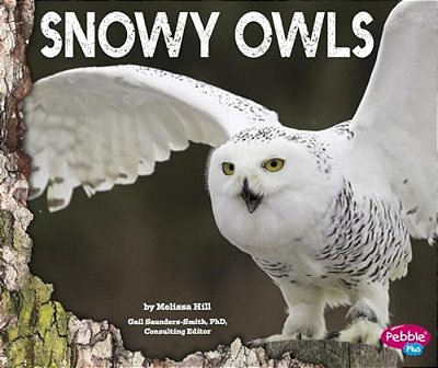 Snowy Owls-..