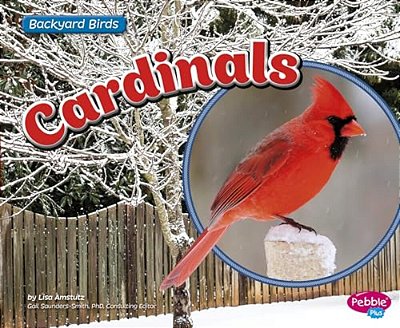 Cardinals-..
