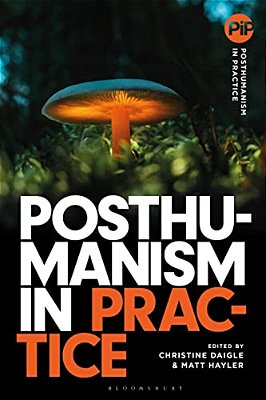 Posthumanism In Practice-..