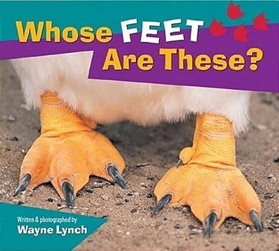 Whose Feet Are These?-..