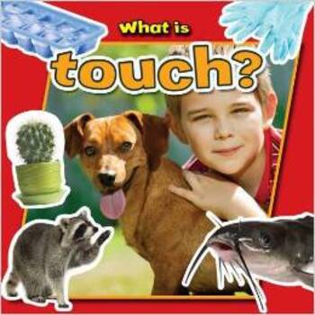 What Is Touch?-..