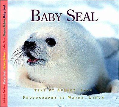 Baby Seal-..