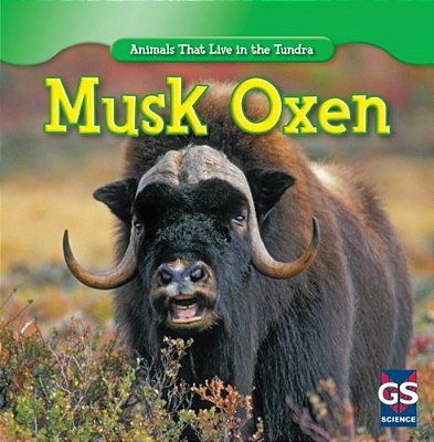 Musk Ox-..