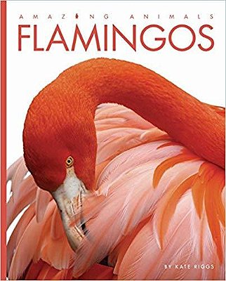 Amazing Animals: Flamingos-..