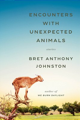 Encounters With Unexpected Animals: Stories-..