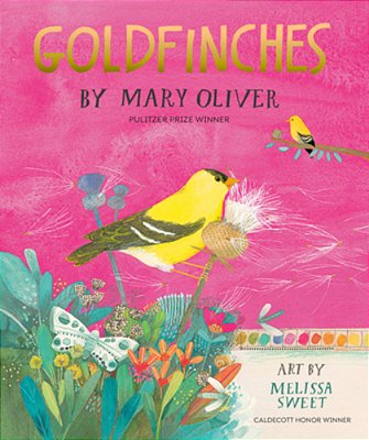 Goldfinches-..