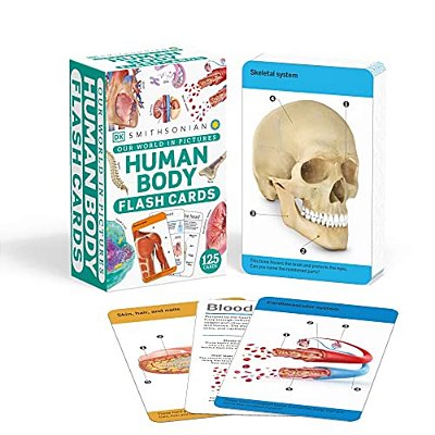 Our World In Pictures Human Body Flash Cards-..
