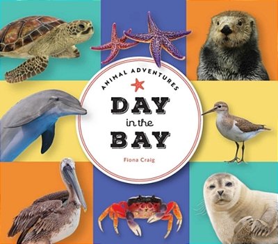 Animal Adventures: Day In The Bay-..