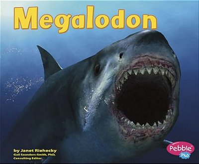 Megalodon-..