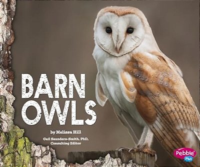 Barn Owls-..